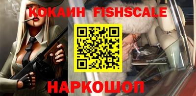 индика Новодвинск