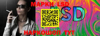 индика Новодвинск