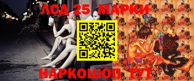 индика Новодвинск