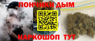 амф Новозыбков