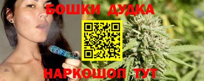 амф Новозыбков