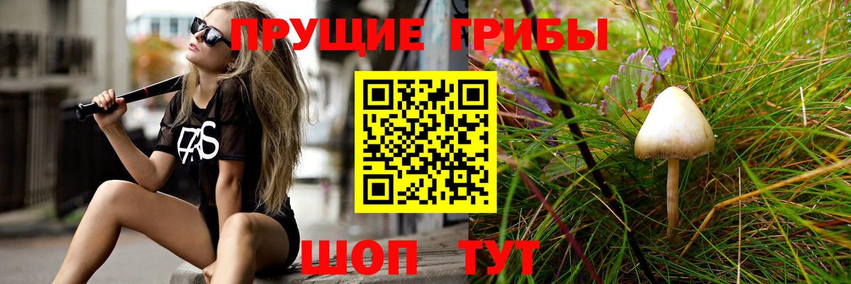Ржев  Галлюциногенные грибы прущие грибы  Вход с VPN 